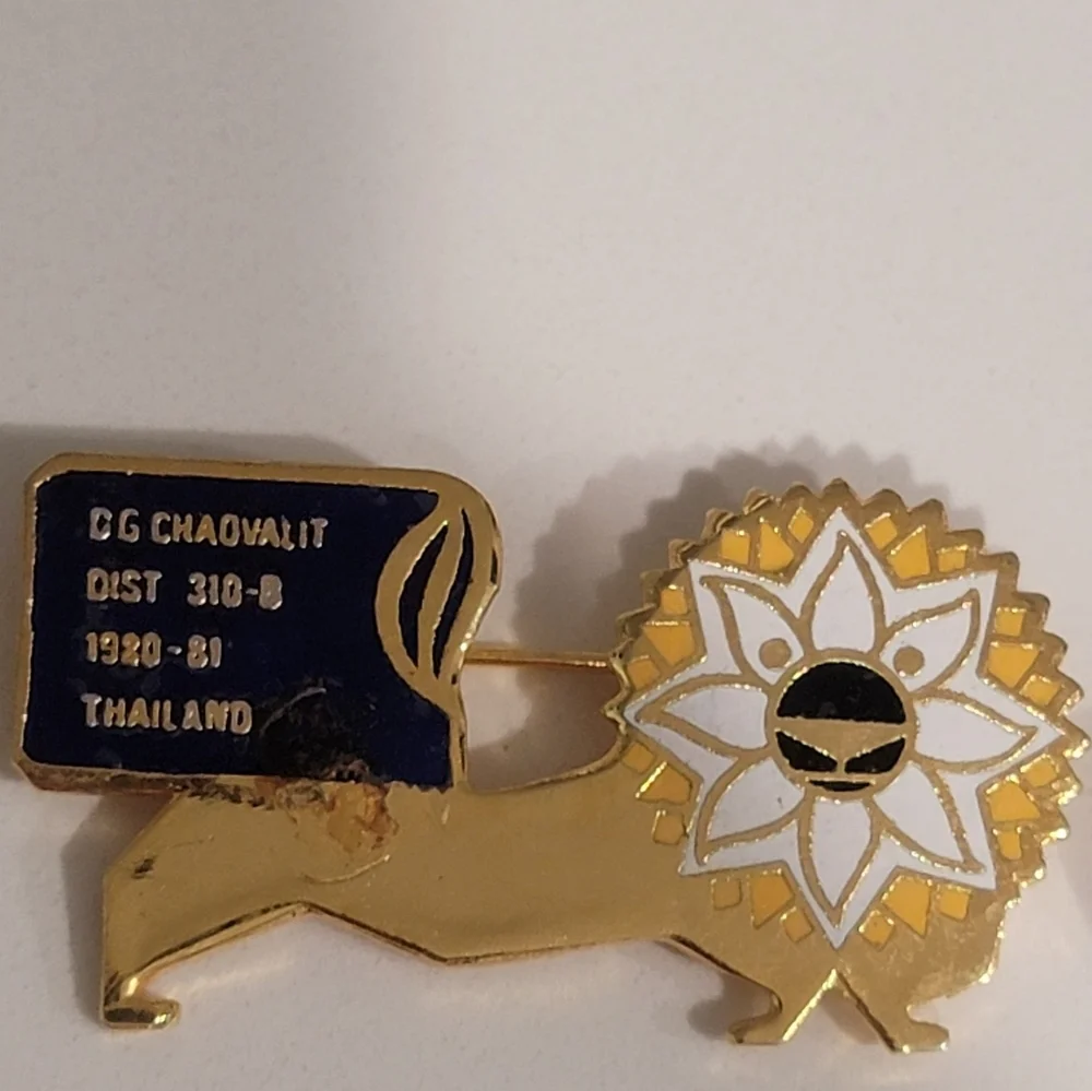 Lions Club International Pins Lot of 10 Pins Great Condition